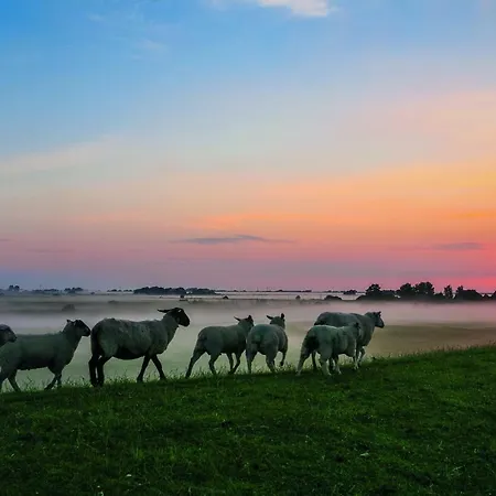 Gud Jard Nr 25 - Design-ferienhaus Mit Exklusiver Ausstattung 펜션 펠웜