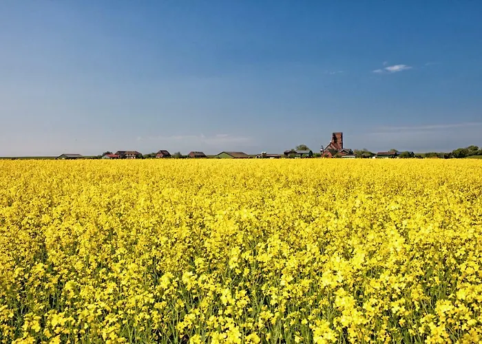 Gud Jard Nr 25 - Design-ferienhaus Mit Exklusiver Ausstattung Semesterbostad *