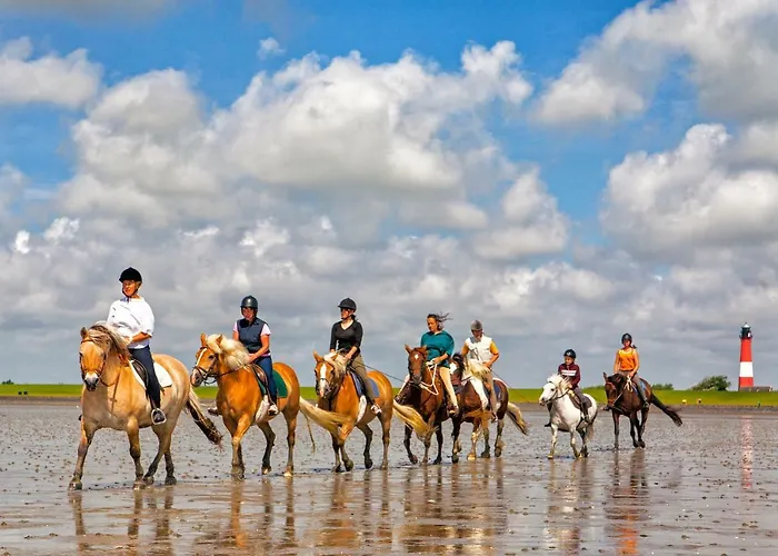 Semesterbostad Gud Jard Nr 25 - Design-ferienhaus Mit Exklusiver Ausstattung Pellworm